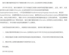 农产品基础知识系列之油菜的一生 初级农产品视角