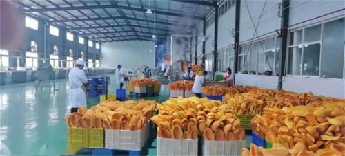 黔货出海新篇章 毕节织金南瓜的“国际范”之旅