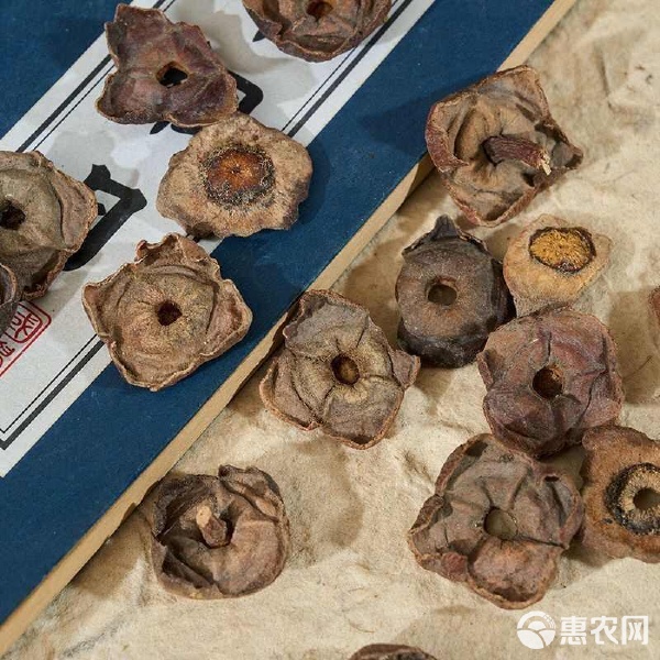 柿蒂 自然馈赠的养生良品，多种规格随心选