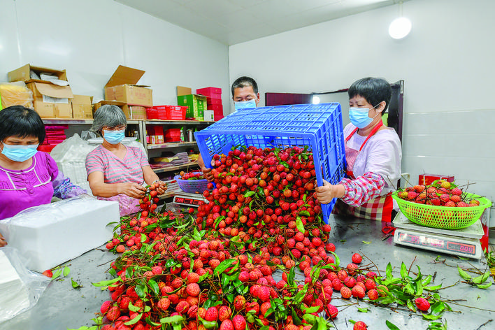 乘势而上 以初级农产品为引擎，推动经济总量突破900亿元