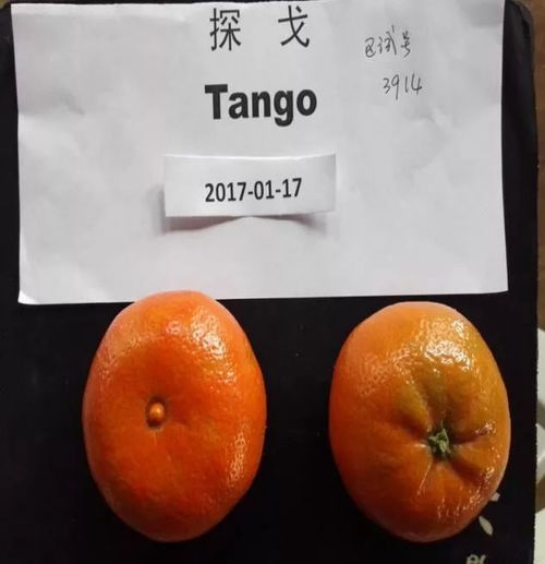 万州农产品品牌万元征名，优质初级农产品即将火爆市场