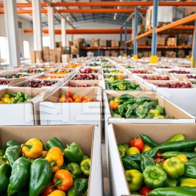 初级农产品及其重要性